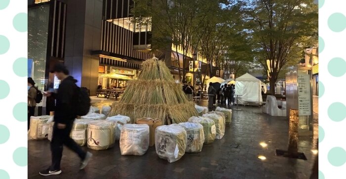 兵庫県三木市で刈り取って間もないという稲が飾られている