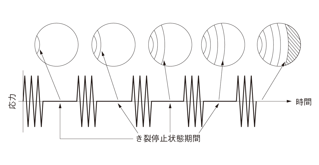 図5　ビーチマークの特徴