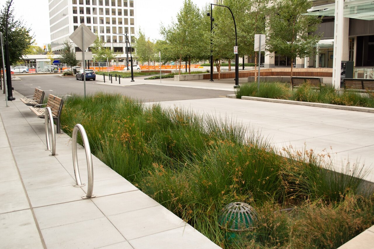 図1　 グリーンインフラ事例（米国オレゴン州ポートランド市）（写真提供：日比谷アメニス）
