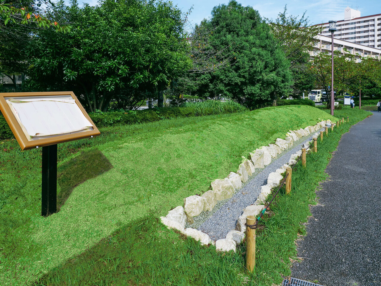 図3　バイオスウェル事例（都立大島小松川公園）（写真提供：日比谷アメニス）