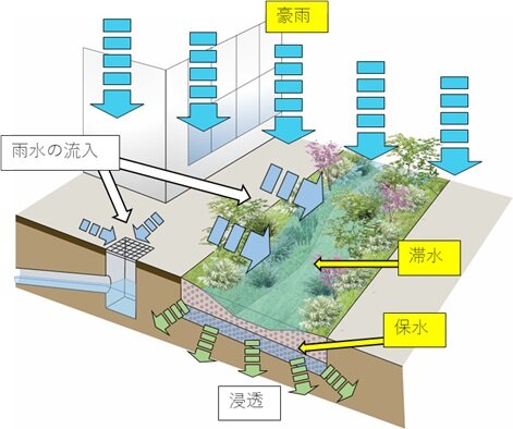 図4　レインガーデンのメカニズム（豪雨時）（画像提供：日比谷アメニス）