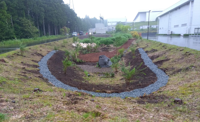 図1　アマダ富士宮事業所グリーンインフラ（写真提供：日比谷アメニス）