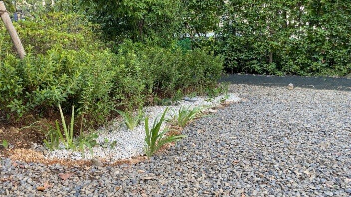 図3　レインガーデン事例（千代田区の民間施設内）（写真提供：日比谷アメニス）