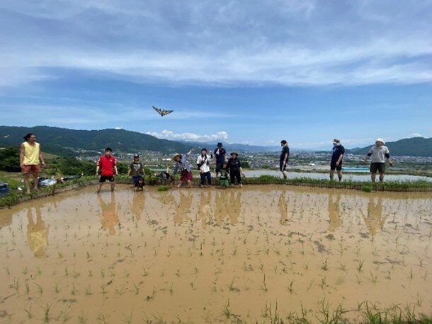 日本遺産「姨捨の棚田」での米づくり（写真提供：ミスズ）