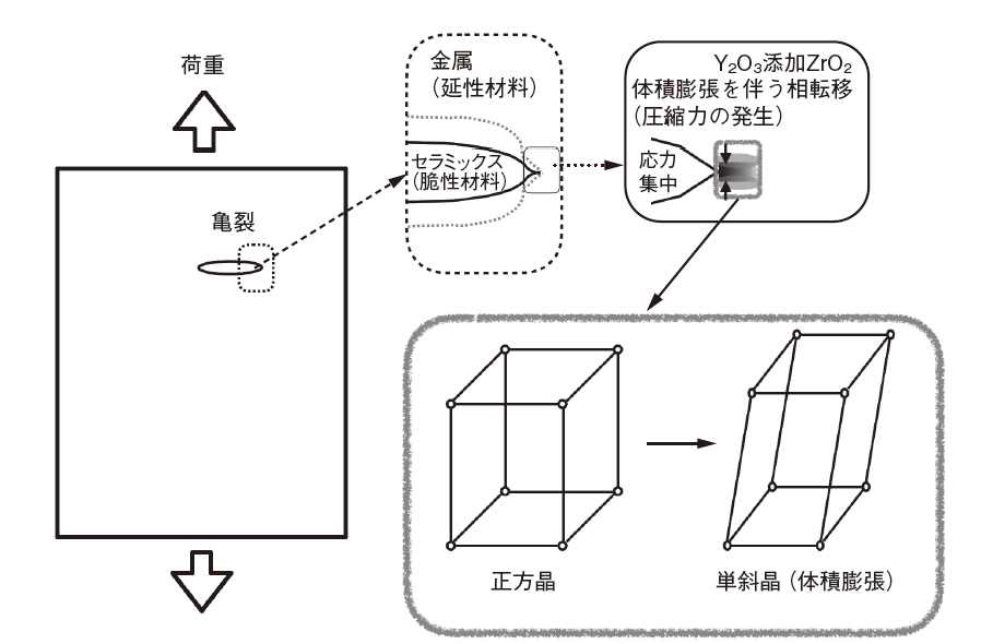図5　亀裂終端における応力集中と相転移による亀裂伝搬抑制についての模式図