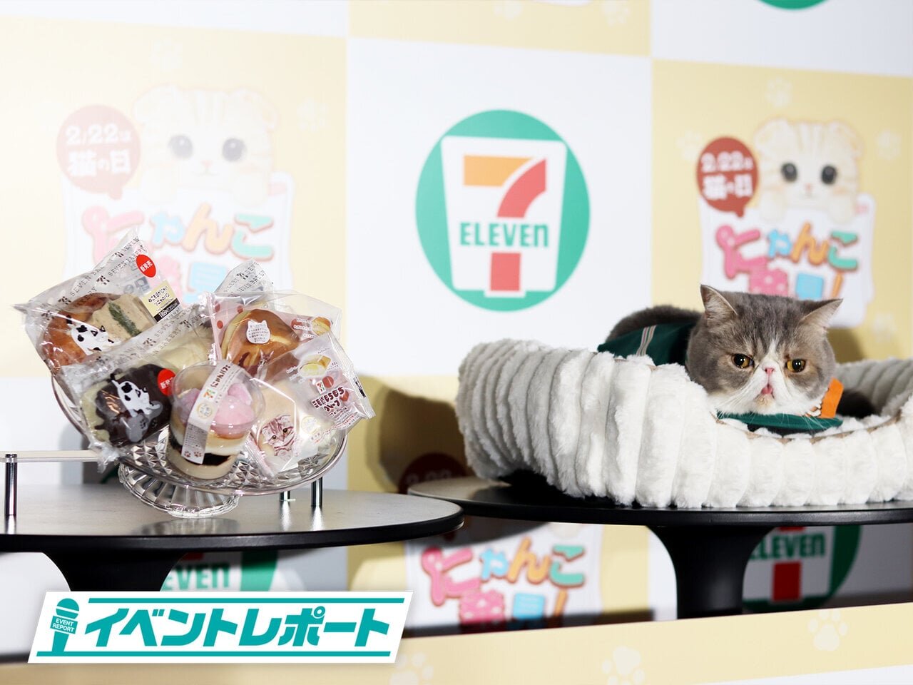 にゃんともかわいい新商品が勢ぞろい！セブン‐イレブン『にゃんこ発見！』新商品発表会レポート - asupresso