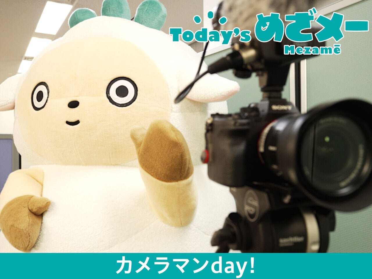 Today’s めざメー！ カメラマンday！