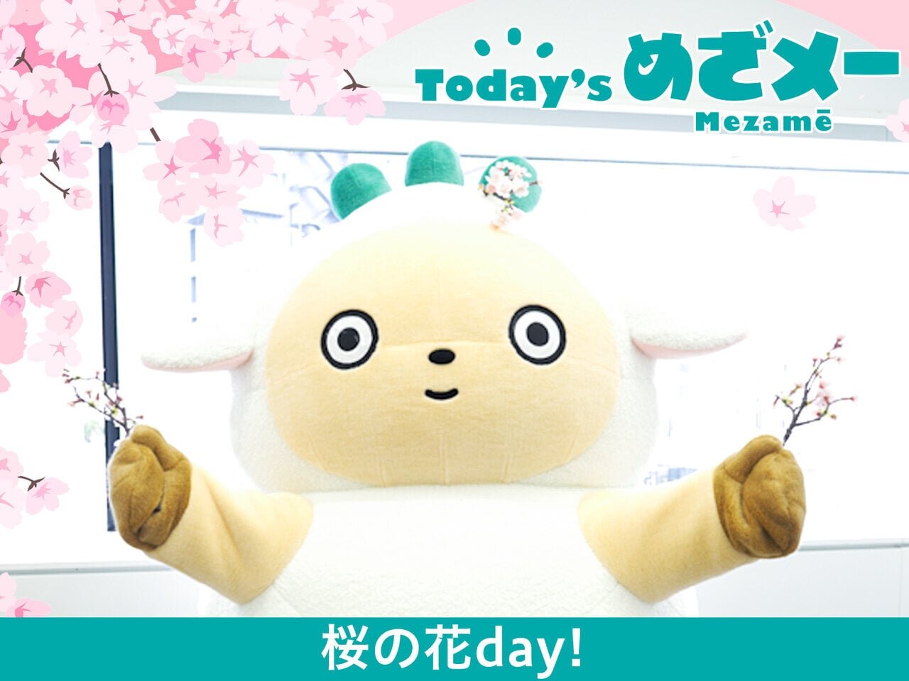 Today’s めざメー！桜の花day！