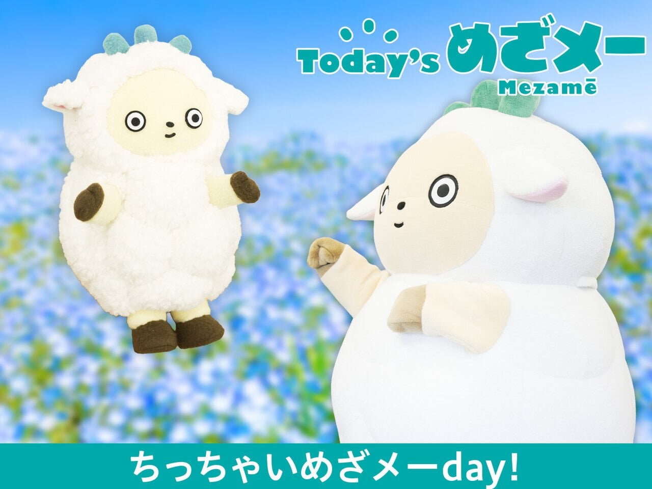 Today’s めざメー！ちっちゃいめざメーday！ - asupresso