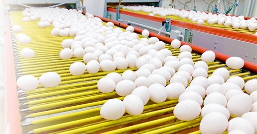 ゆでたまごのこだわり｜セブン‐イレブン