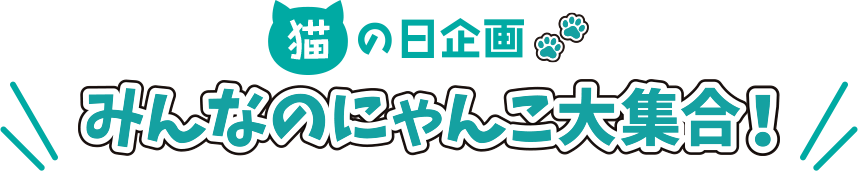猫の日企画 みんなのにゃんこ大集合！