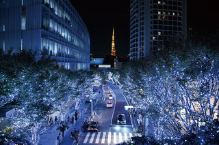 けやき坂イルミネーション | 六本木ヒルズクリスマス 2018
