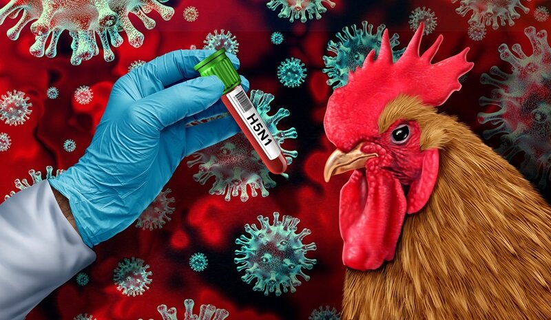 鳥インフル重症患者が死亡 ウイルスからヒトに感染しやすい変異を検出