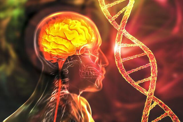 診断のあり方に一石 14の精神疾患、遺伝学的には5分類？ - オーベン