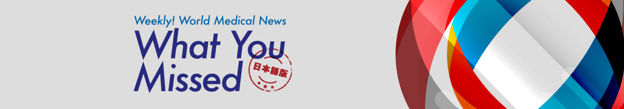 What You Missed（日本語版）