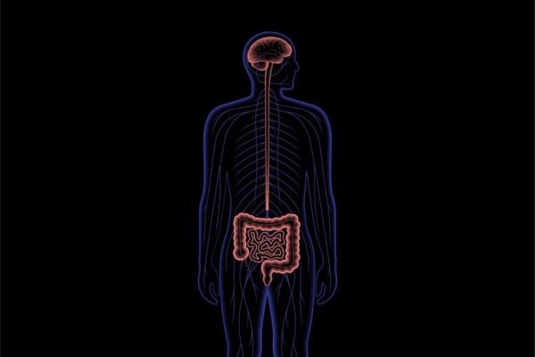 Trigger Insm Photo 世界で290万人が苦しむ多発性硬化症 治療の突破口は“腸内細菌”にあり! - オーベン×ネーベン