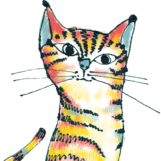 平野カズ希プロフィール画像