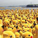 街がピカチュウで埋め尽くされる♪イベント「ピカチュウ大量発生チュウ!」へ行こう!