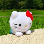 いつでも一緒にお出かけ♪自分だけの「ぴょこのる」をSNSにのせて自慢しちゃお♡