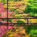 【京都】秋だ🍁そうだ❣京都に行こう💖古都らしさがイイ👍インスタ映えスポット10選❣