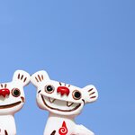 暑い夏、大切なペットも快適に過ごせる冷感グッズ(2022年6月)