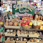 【スクイーズショップ九州福岡】教えてスクイーズを売っているお店の場所『福岡編まとめ』