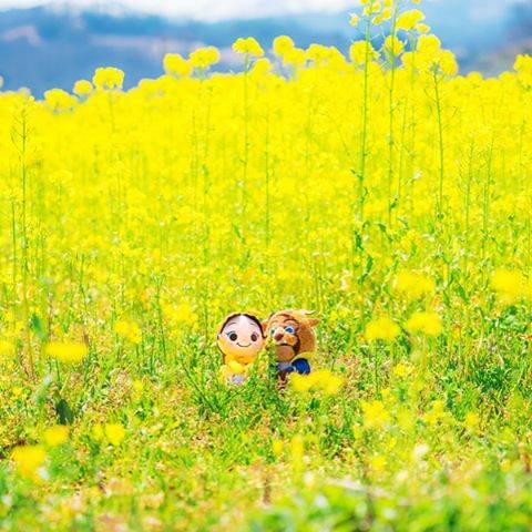 ぬい撮り インスタ映えする ぬいぐるみをかわいく撮るコツと魅力 シュウシュウ