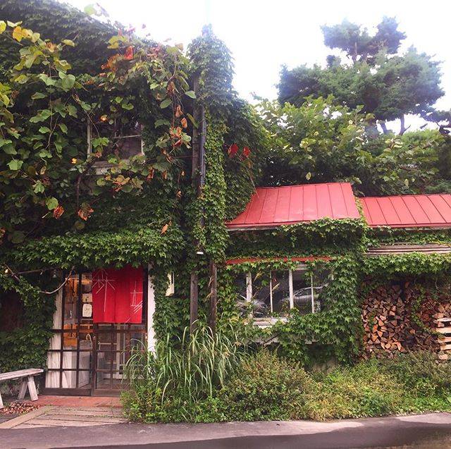 風情ある建物「森彦」