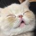 マッシュ・ (@mash1126a) 「 Instagram photos and videos