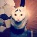 Sam (@samhaseyebrows) 「 Instagram photos and videos