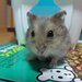 とある男が授業をしてみた - YouTube