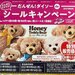 2022年春夏ダイソーのシールキャンペーン開催中!フライパンや包丁、テディベアなどをお得にゲット|LIMIA (リミア)