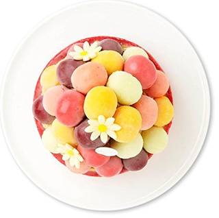 グラッシェル アイスケーキ バルーンドフリュイ 5号サ...