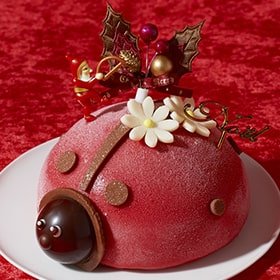 心を魅了してやまない奇跡の口どけチーズケーキ。小樽洋菓...