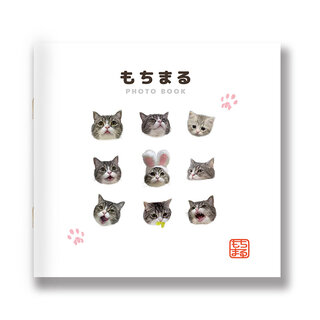 原産国:日本 材質:本体:紙 商品サイズ:14.8cm...