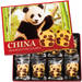 3.中国 パンダクッキー