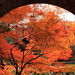 京都で秋の紅葉狩り! 東山散策ツアー