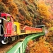 京都・嵐山で秋を堪能! トロッコ電車~保津川下り 秋のお勧めコース