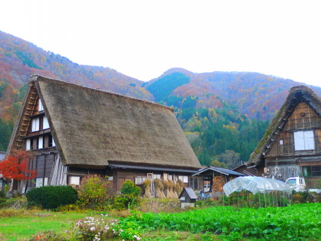 世界遺産に泊まろう！白川郷・五箇山合掌造り集落