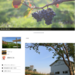 home of Rita Farm & winery