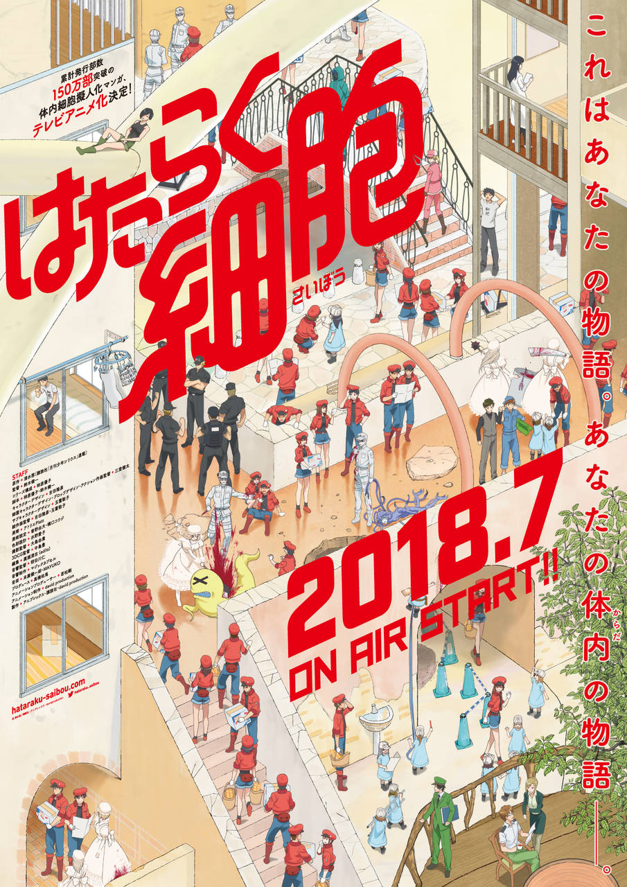 体内細胞擬人化マンガ「はたらく細胞」テレビアニメ化決定!2018年7月放送開始!