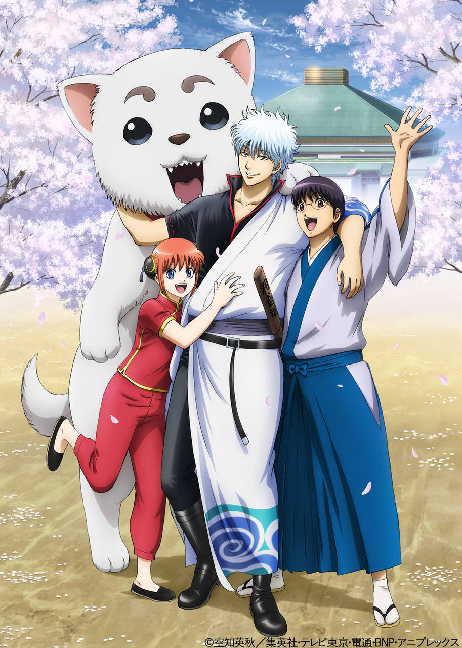『銀魂 銀(しろがね)祭り2019(仮)』開催決定&チケット最速先行発売!!