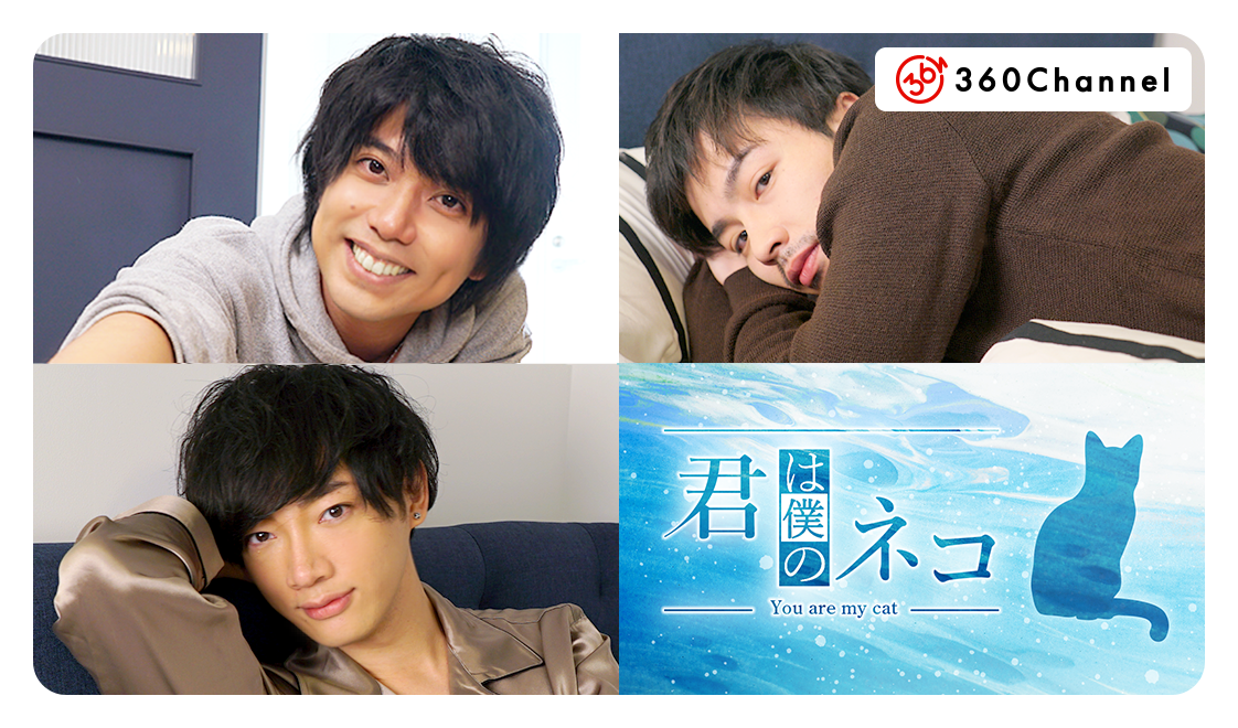 柏木佑介、鈴木勝吾、和合真一の飼い猫になれる!? VRショートドラマ『君は僕のネコ』第4弾が配信開始