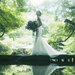結婚式場を東京でお探しなら八芳園