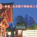 奉祝 天皇陛下御即位三十年 奉祝献灯の御案内
