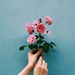 指先に薔薇を咲かせる♡定番から人気までローズネイルカタログ
