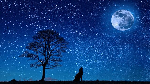 「星空 画像」の画像検索結果