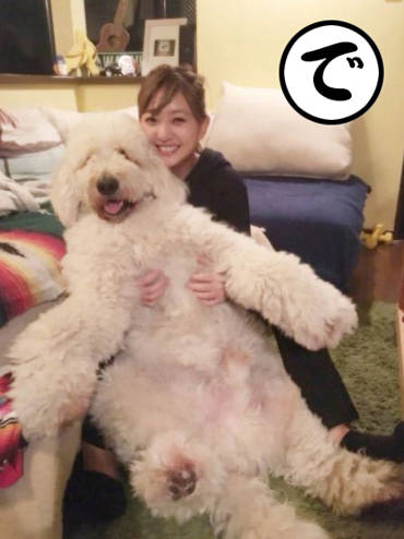 (で)