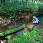 Because We Want to Protect the Beautiful Forests for the Next 100 Years