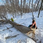 To pass on rich forests to future generations